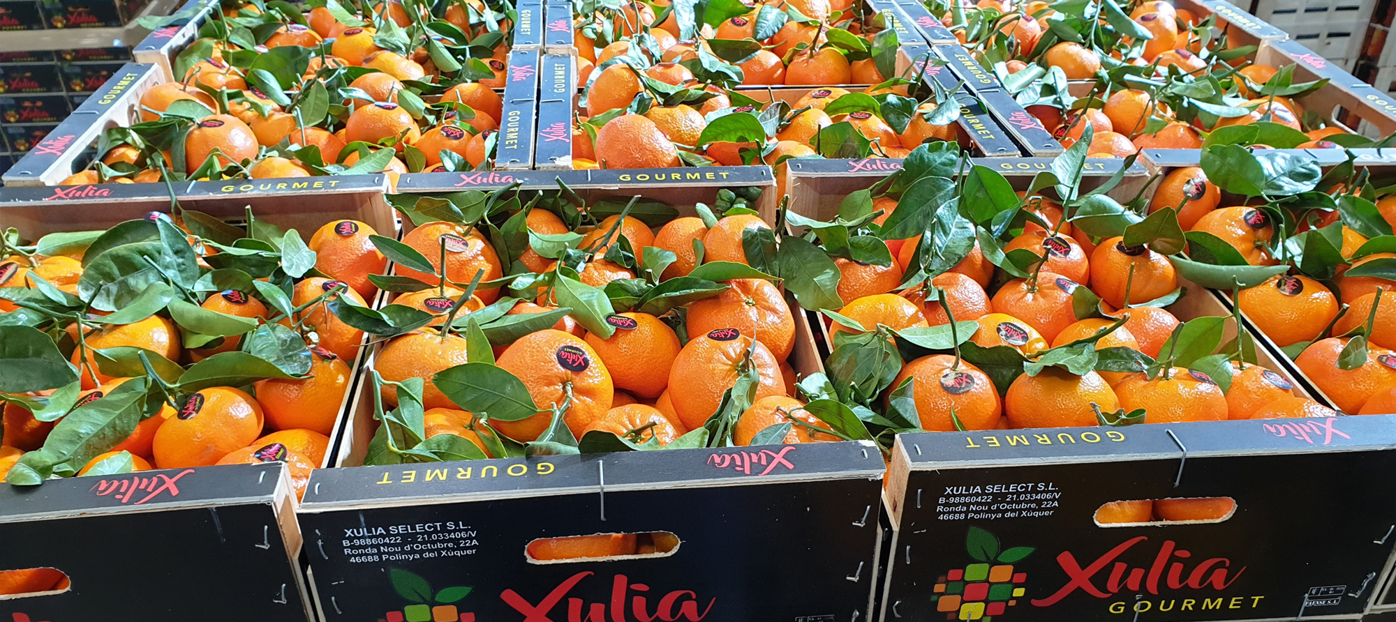 mandarinanaturaldevalencia