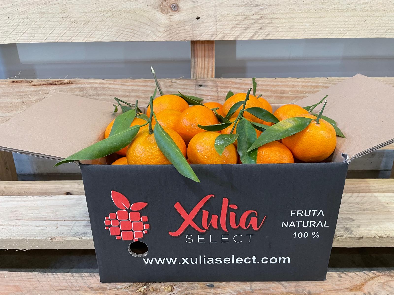 Mandarina 5 kg