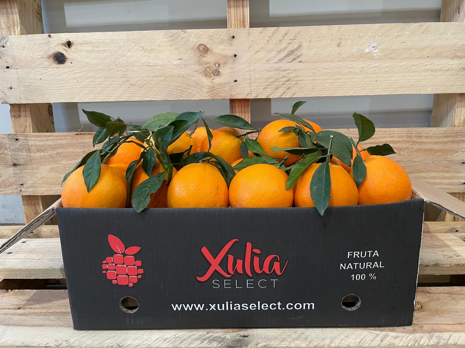 Naranja mesa 10 kg