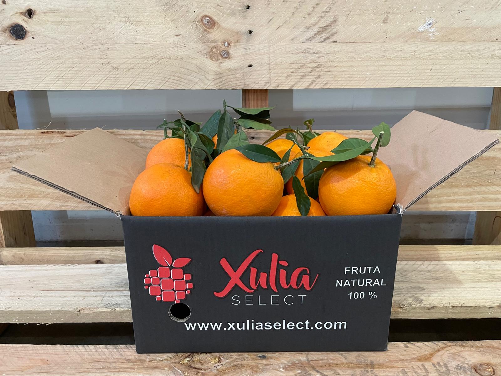 Naranja mesa 5 kg