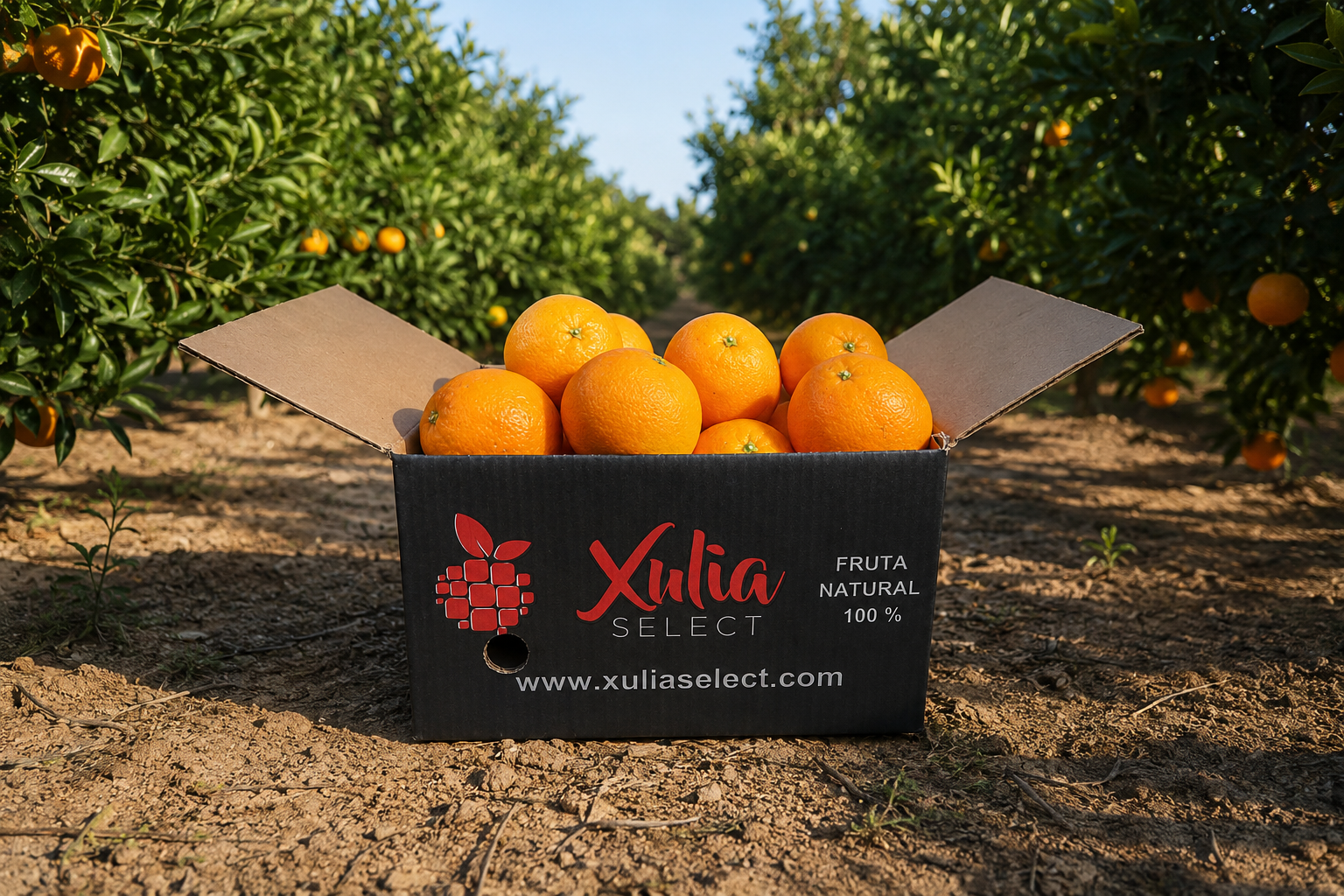 Naranja zumo 5 kg