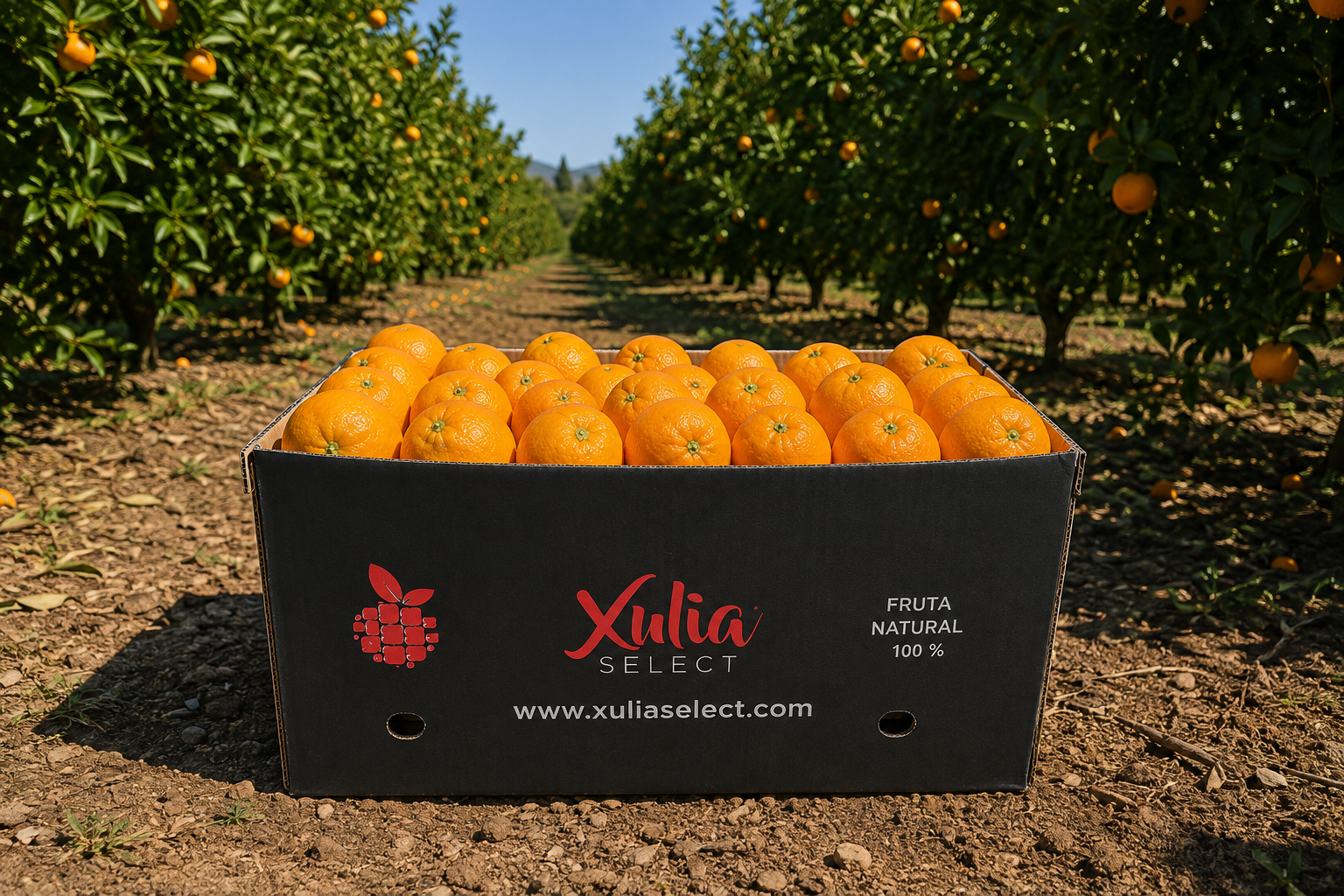 Naranja zumo 15 kg